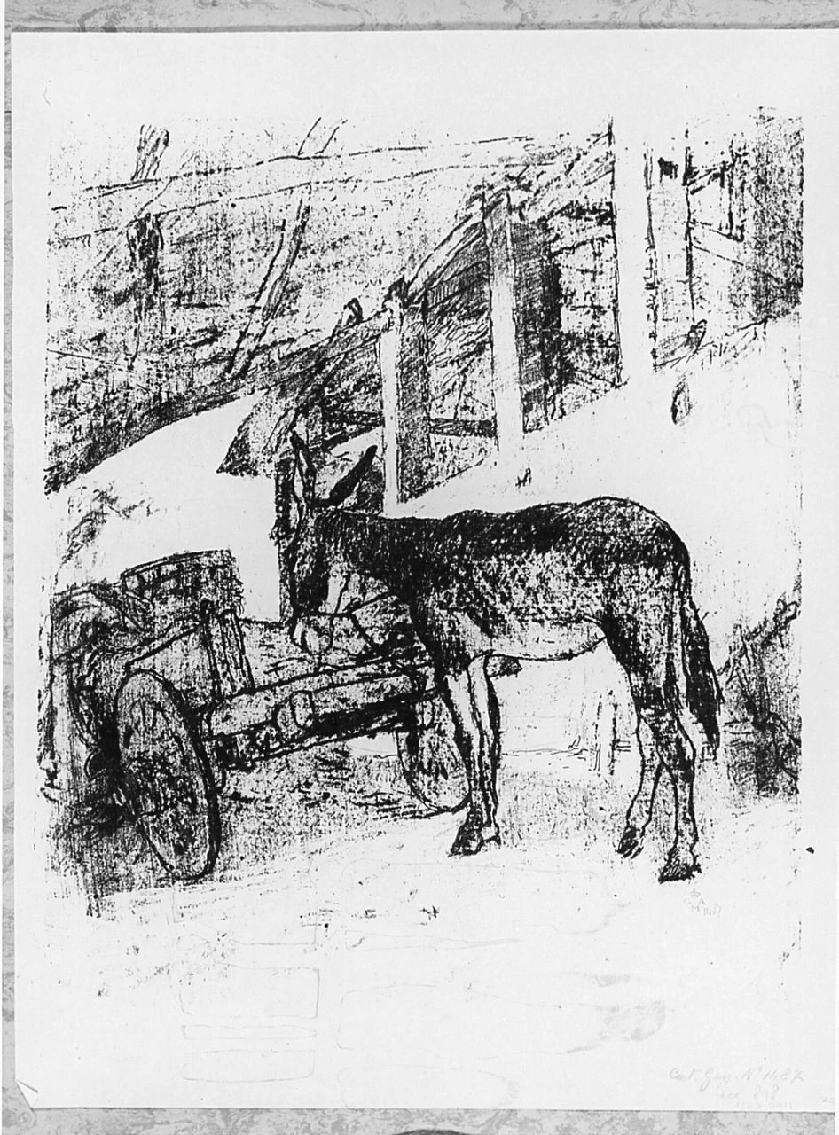 Animali - Gabinetto Disegni e Stampe degli Uffizi, Firenze
